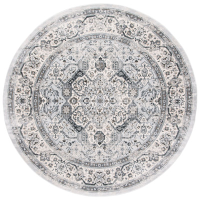 Delmer Performance Oriental Rug