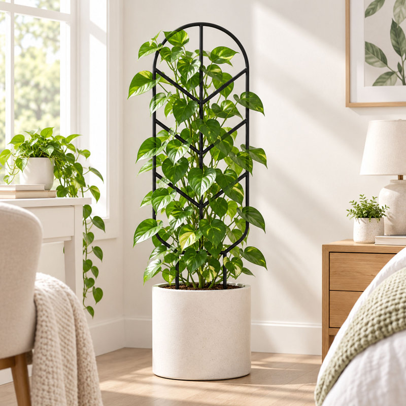 30 in. H x 10.6 in. W Fan Trellis