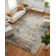 Dilara Area Rug in Grey