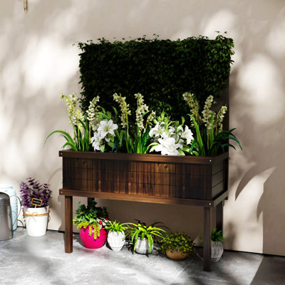 Lit de jardin surélevé avec treillis Outsunny pour plantes grimpantes