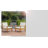 Claytor Acacia Outdoor Lounge Chair-92242734-92242733