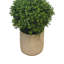 4' Faux Boxwood Topiary-631134869