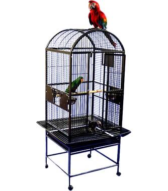 3dRose lsp_61863_1 Victorian Bird Cage With 2 Colorful Birds