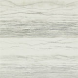 Metamorphic Wallpaper