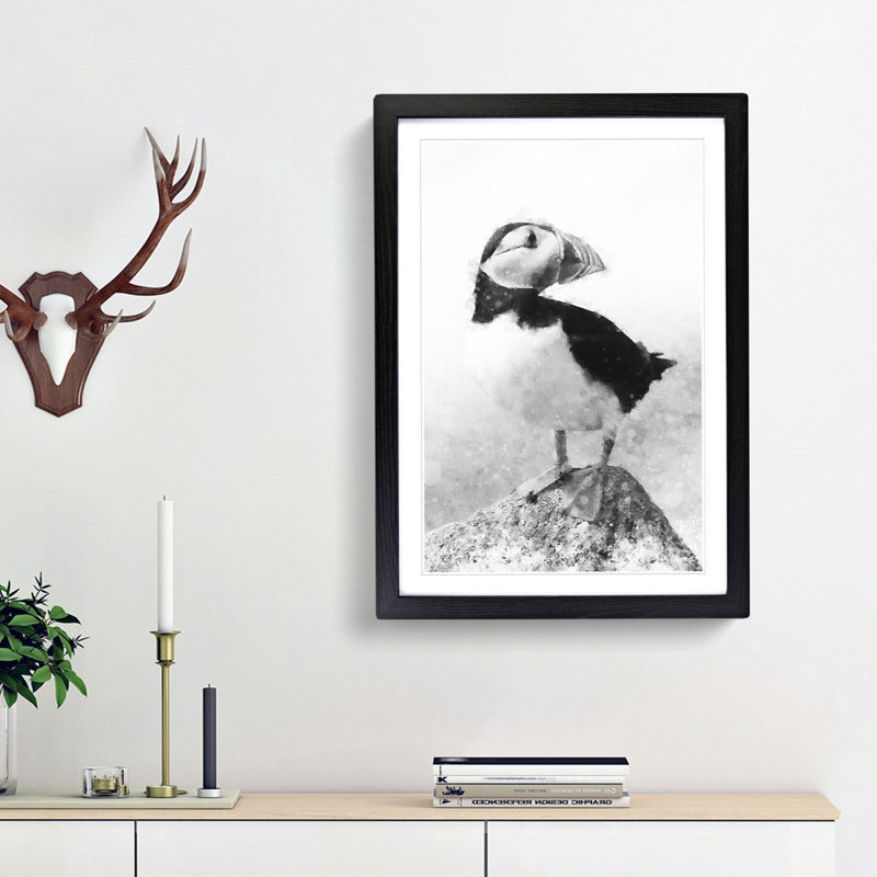 The Atlantic Puffin Bird - Framed Print, 45cm H x 33cm W x 2cm D, Black Framed