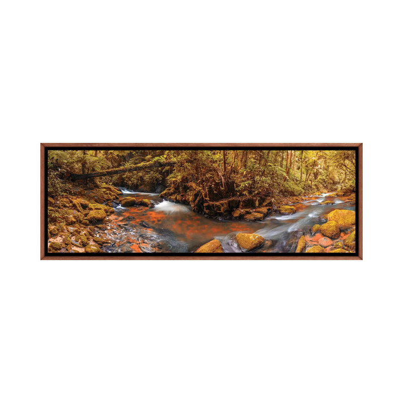 Jungle Panorama II by Glauco Meneghelli - Print on Canvas, Brown Floater Frame, 121.92 cm H x 40.64 cm W