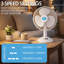 12" Oscillating  Desk fan with 3 speed and Tilt