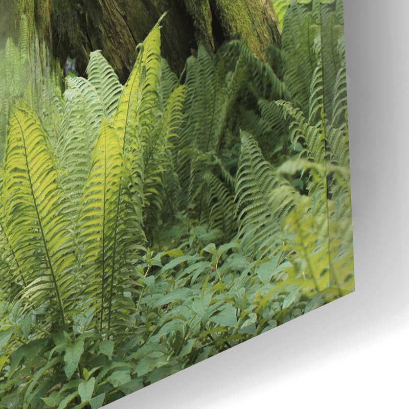 «Giganotosaurus», art mural en verre acrylique, H 12 po x l 16 po x P 0,13 po