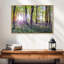 Bluebells and sunrise-535865495-535865493