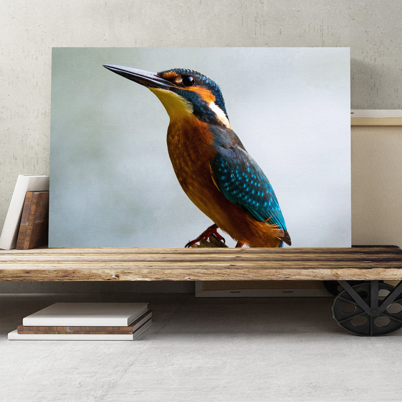 Kingfisher Bird Photographic - Wrapped Canvas, 35cm H x 50cm W