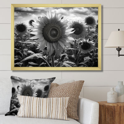 Tournesol noir et blanc I