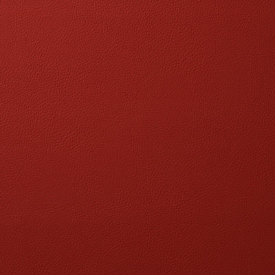 Vegan Leather Indoor/Outdoor Fabric