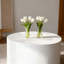 Table basse ronde blanche avec rangement caché
