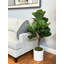 Organic Modern 4' Faux Fiddle Leaf Tree