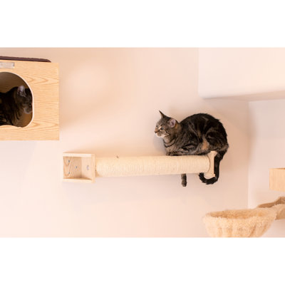 Scratching Post