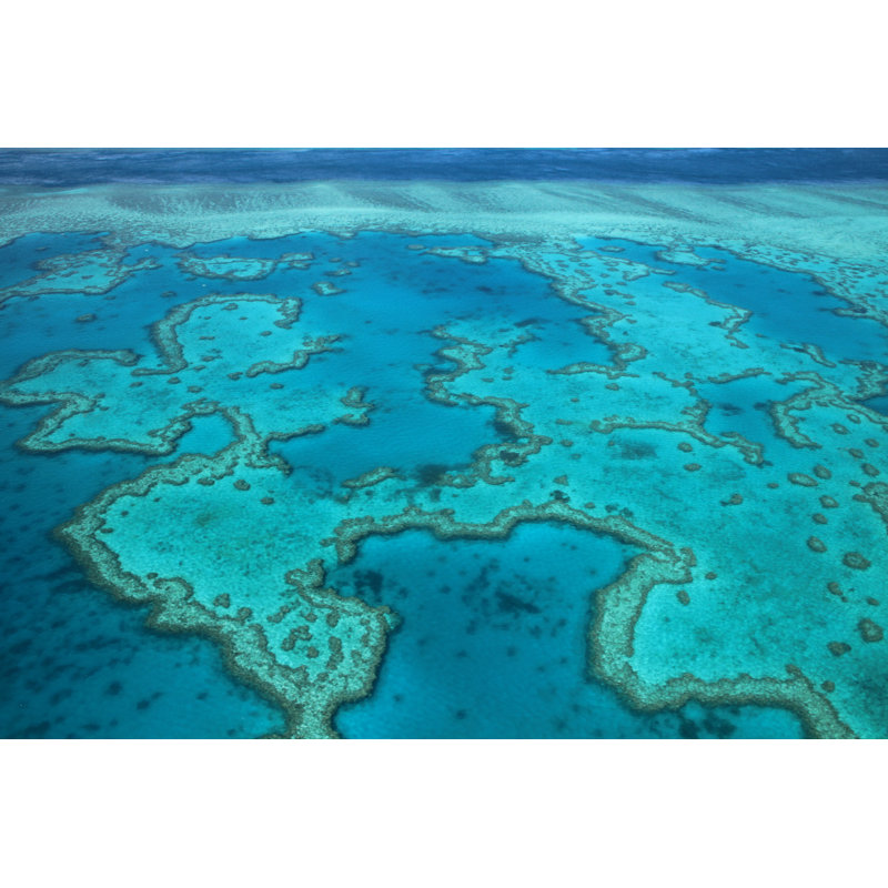 Great Barrier Reef - Wrapped Canvas Print, 30cm H x 46cm W x 3.8cm D