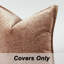 Ensemble de housses de coussin en chenille 18 po x 18 po pour canapé-lit-127296584-127296581