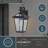 Bellandra Wall Light