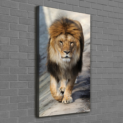 Lion - Wrapped Canvas Print