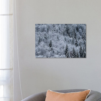 Winter 1 Piece Wrapped Canvas Wall Art