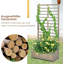 Bornier Wood Planter Box