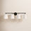 Argan 4-Light Vanity Light