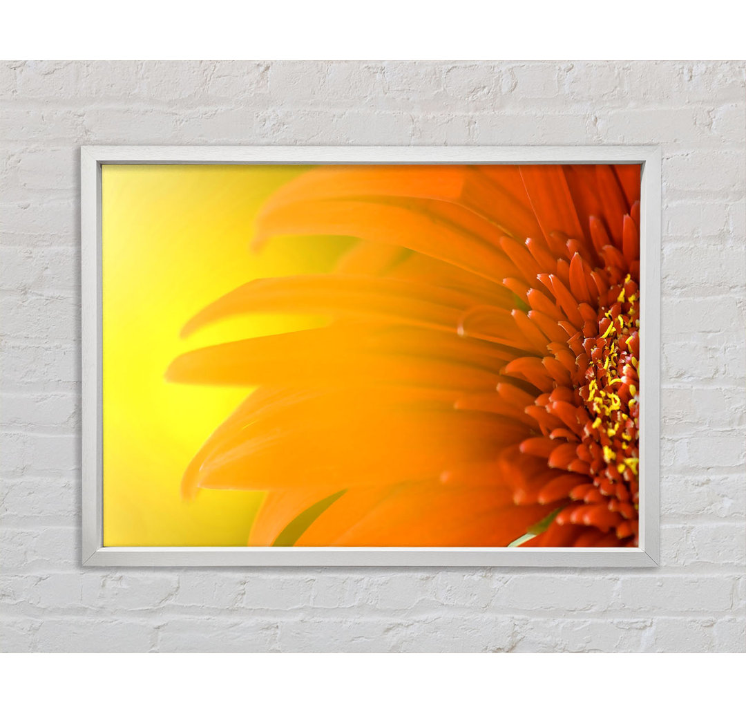 Orange Flower Mist - Einzelner Bilderrahmen Kunstdrucke auf Leinwand