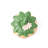 Strawberry Decorative Jar