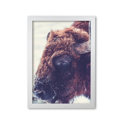 Bull - Print