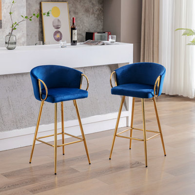 Rikiya 25'' H Velvet Upholstered Side Chair