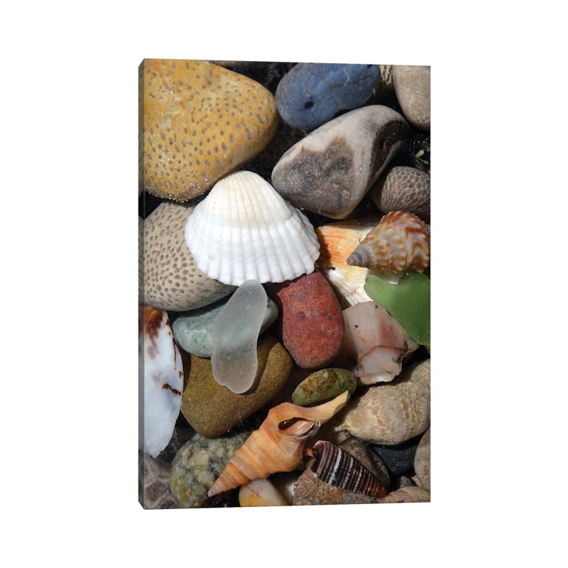 Petoskey Stones IV 1 Piece Wrapped Canvas Wall Art