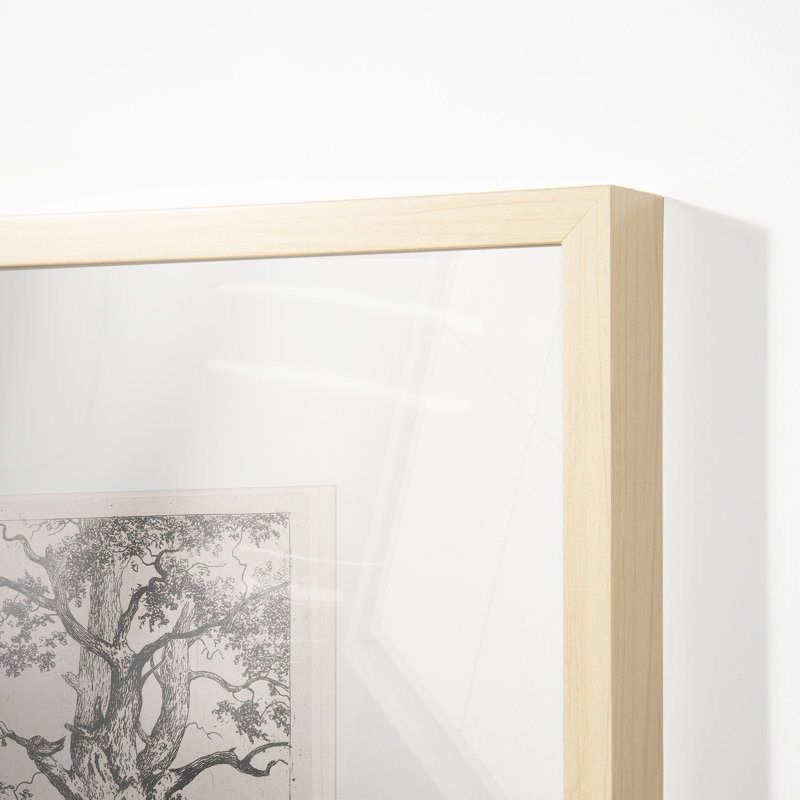 Three Tall Trees Print by Cornelis Steffelaar