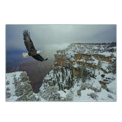Ambesonne American Tempered Glass Cutting Board Bald Eagle Landscape White Brown