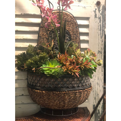 Velarde Wall Planter
