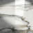 Calacatta Gold Standard Polished 18x18 Marble Tile-122884458