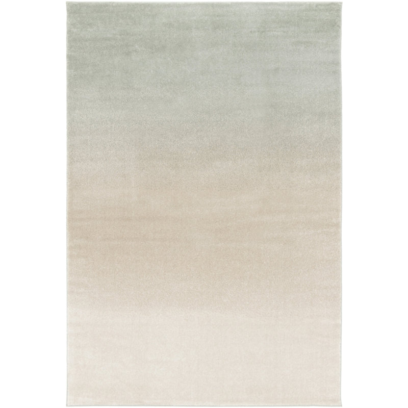 Anyhia Ombre Area Rug, Rectangle 120 x 170cm