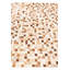 Tapis Isidore
