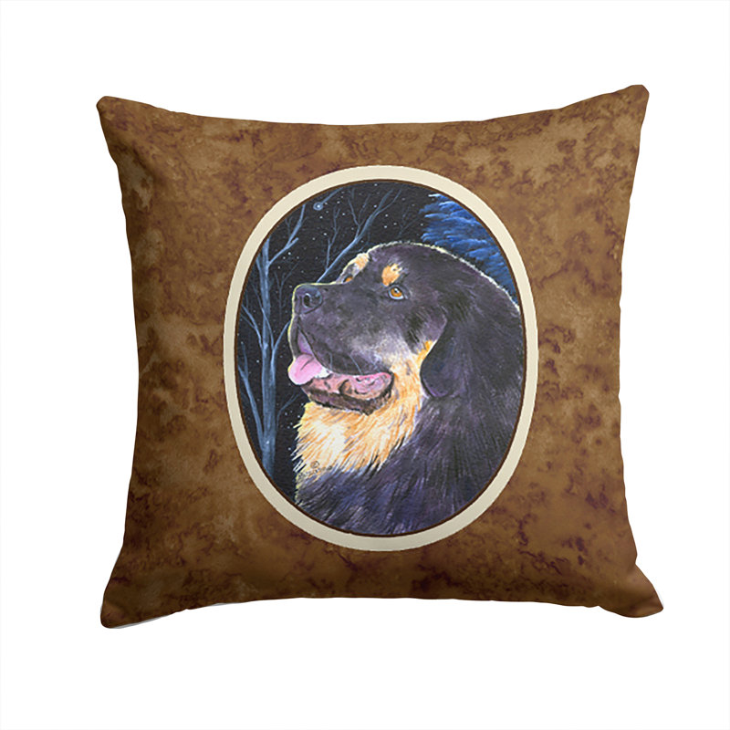 Coussin décoratif intérieur / extérieur Starry Night
