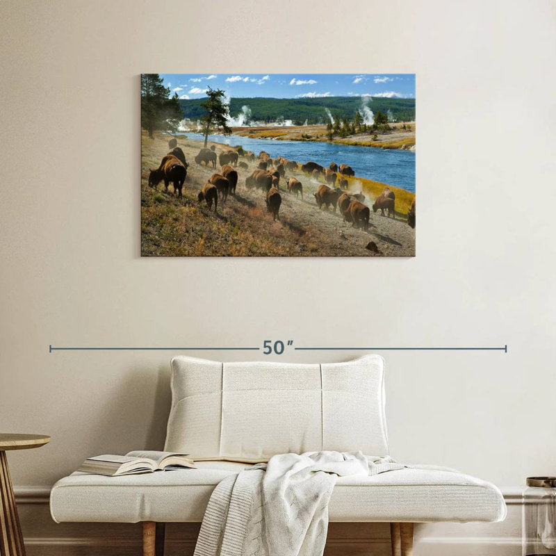 Troupeau de bisons Brampt, H 24 po x l 36 po