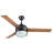 Diaundra 52'' Ceiling Fan with Light Kit-701479359