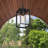 Daxston 1-Light Outdoor Hanging Lantern Lighting