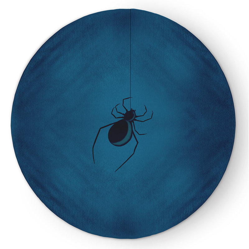 Peacham Chenille Indoor Rug, Round 5'