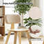 Ensemble de 4 chaises de salle à manger avec dossier ergonomique rembourré en velours Teddy pour cuisine beige et naturel-1834170981-1834170983