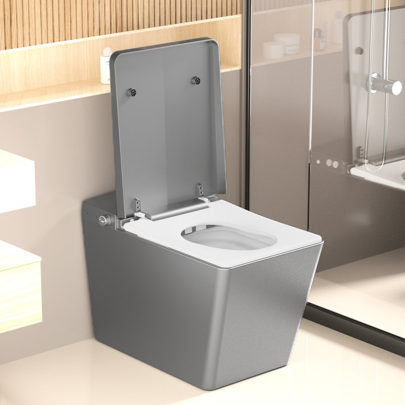 Bidet Toilet With Built - In Tank, Square Design, Remote Control, Auto Flush, Heated Seat, Feminine Wash, Led Digital Display, Night Rear Wash