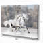 Animal, chevaux blancs, impression sur toile - Deux chevaux blancs-29490827