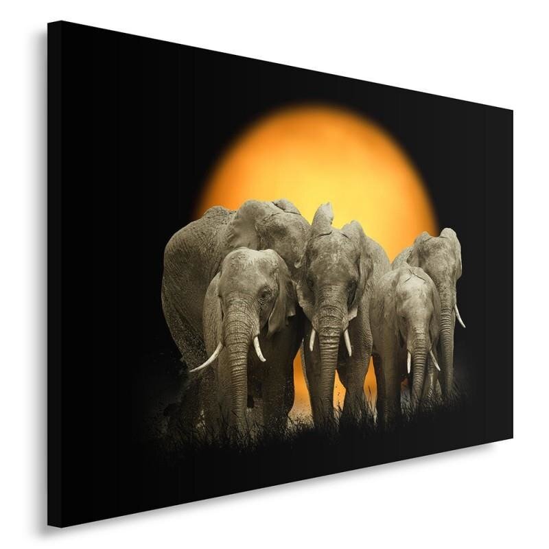 Leinwandbild Elephants 1