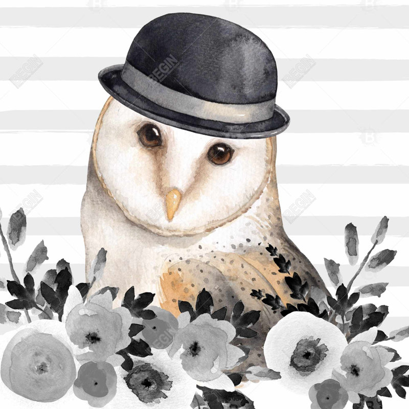 «Owl Detective»