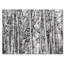 « winter aspens », reproduction d’art sur toile tendue-105969141