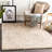 Bartol Indoor Rug-100299201