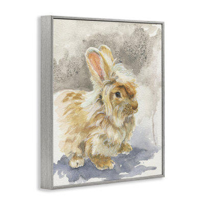 Angora Bunny, aquarelle encadrée par Jennifer Redstreake